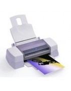 Cartouche pour Epson Stylus Photo 1290|Achats-Cartouches.fr